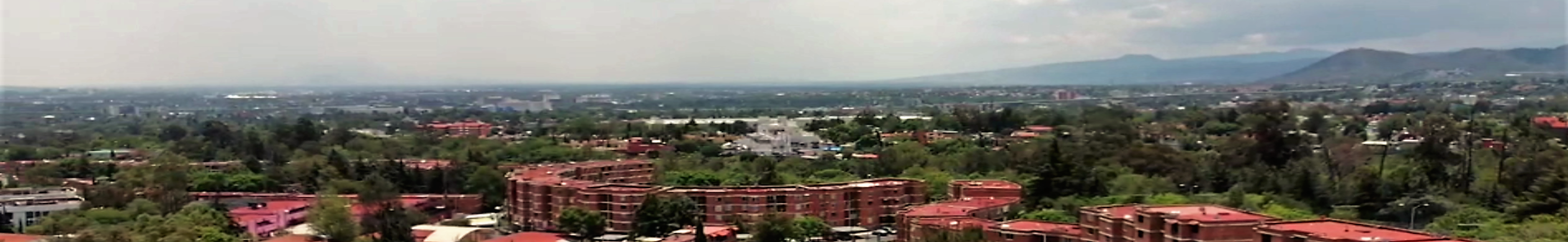 Cabecera_RIM_2 Remates Inmobiliarios México. Remates Judiciales